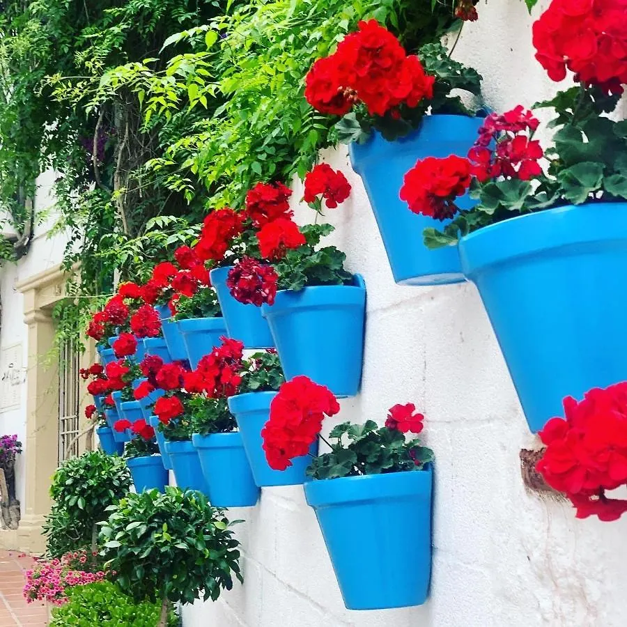 Bed & Breakfast Villa Maria Sotogrande -San Roque Golf-Gibraltar