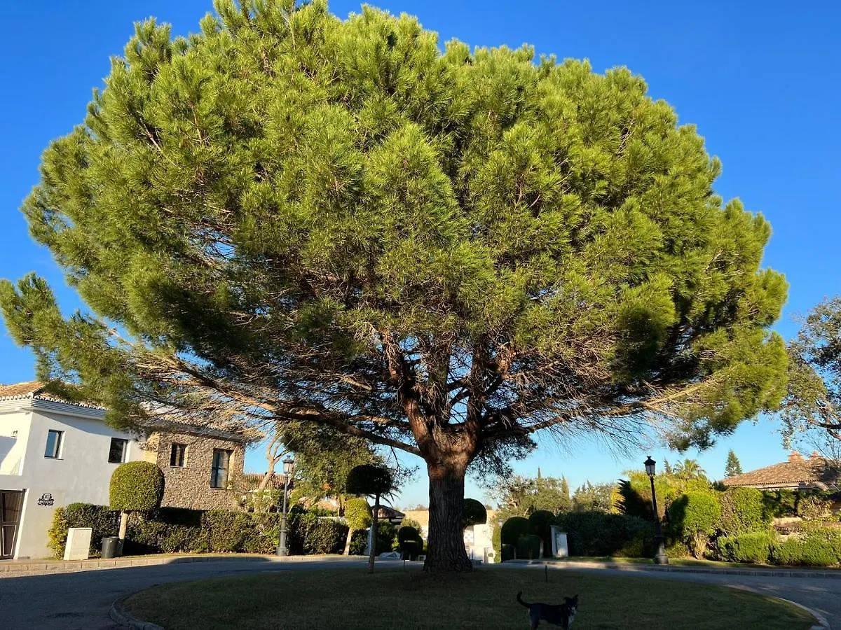 Bed & Breakfast Villa Maria Sotogrande -San Roque Golf-Gibraltar
